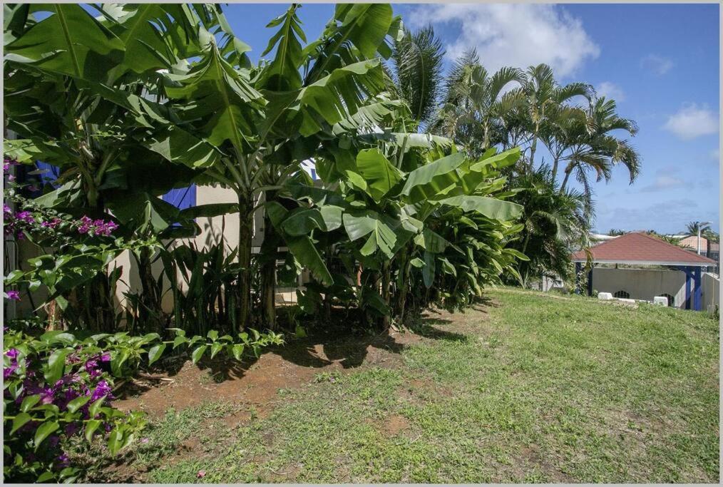 Villa Mango 150 Metres Plage A Pied Sainte-Luce Exterior foto