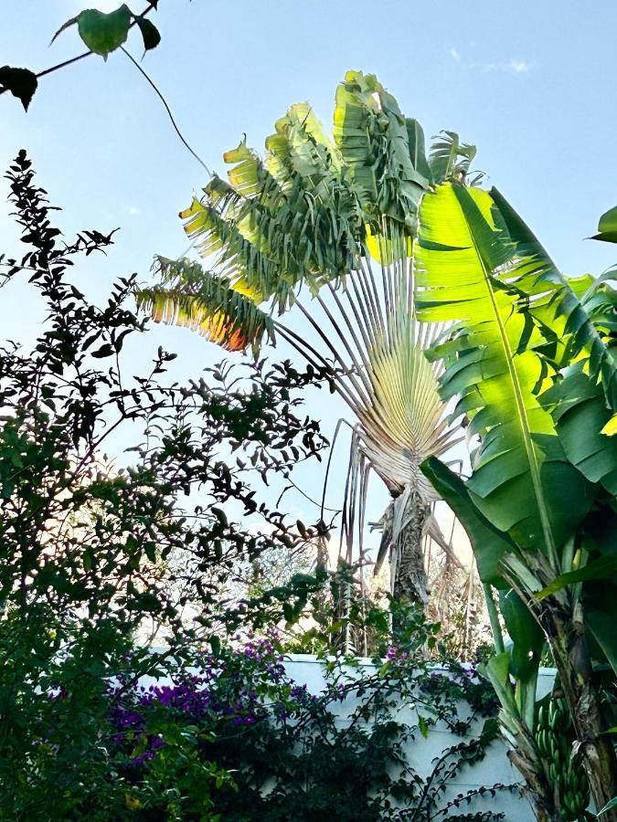 Villa Mango 150 Metres Plage A Pied Sainte-Luce Exterior foto